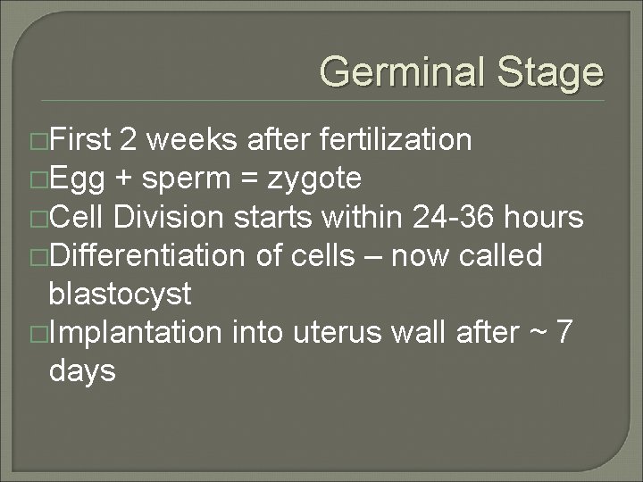 Germinal Stage �First 2 weeks after fertilization �Egg + sperm = zygote �Cell Division