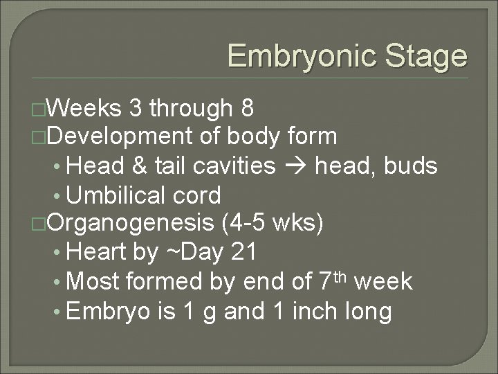 Embryonic Stage �Weeks 3 through 8 �Development of body form • Head & tail
