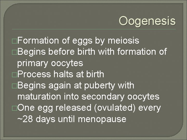 Oogenesis �Formation of eggs by meiosis �Begins before birth with formation of primary oocytes
