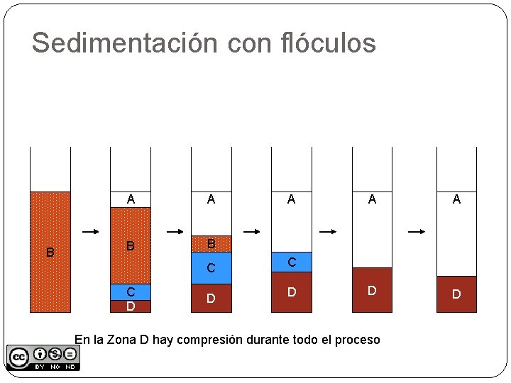 Sedimentación con flóculos B A A B B C D A C C D