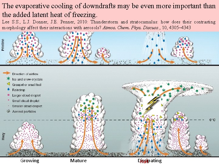 The evaporative cooling of downdrafts may be even more important than the added latent