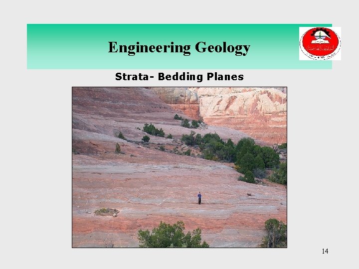 Engineering Geology Strata- Bedding Planes 14 