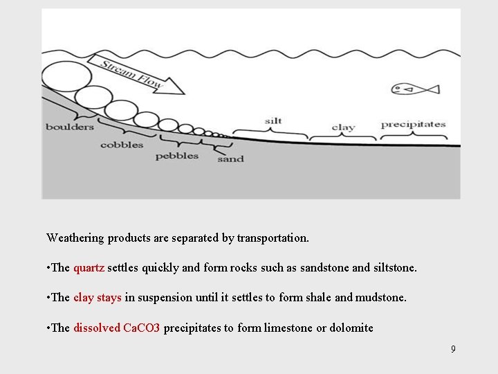 Weathering products are separated by transportation. • The quartz settles quickly and form rocks