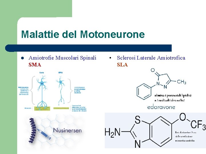 Malattie del Motoneurone Amiotrofie Muscolari Spinali SMA • Sclerosi Laterale Amiotrofica SLA 