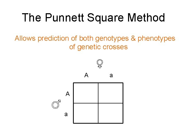 The Punnett Square Method Allows prediction of both genotypes & phenotypes of genetic crosses