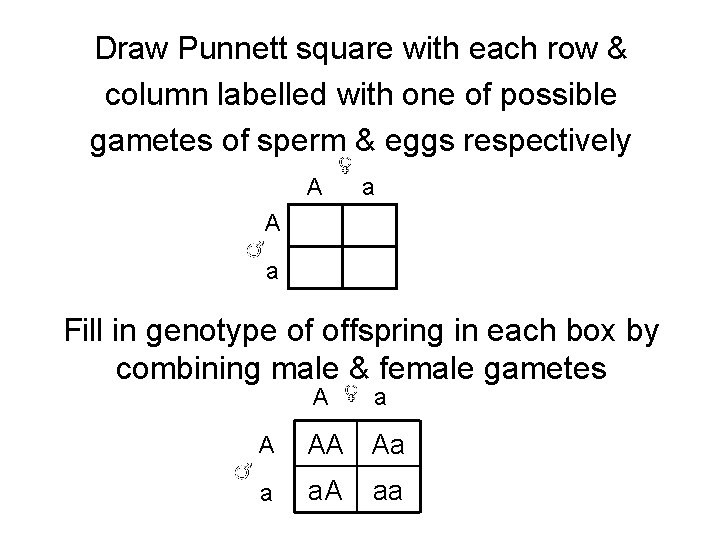 Draw Punnett square with each row & column labelled with one of possible gametes