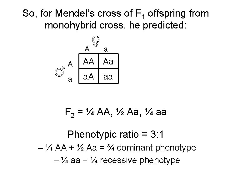 So, for Mendel’s cross of F 1 offspring from monohybrid cross, he predicted: A