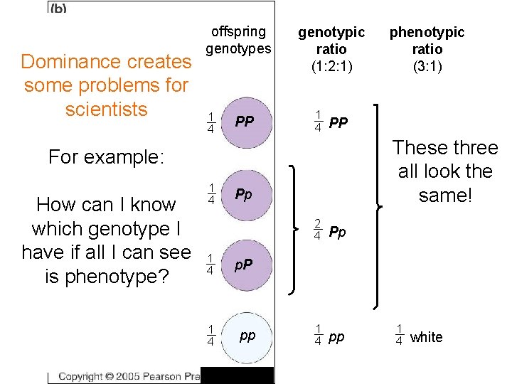 sperm eggs Dominance creates some problems for 1 scientists 1 2 P offspring genotypes