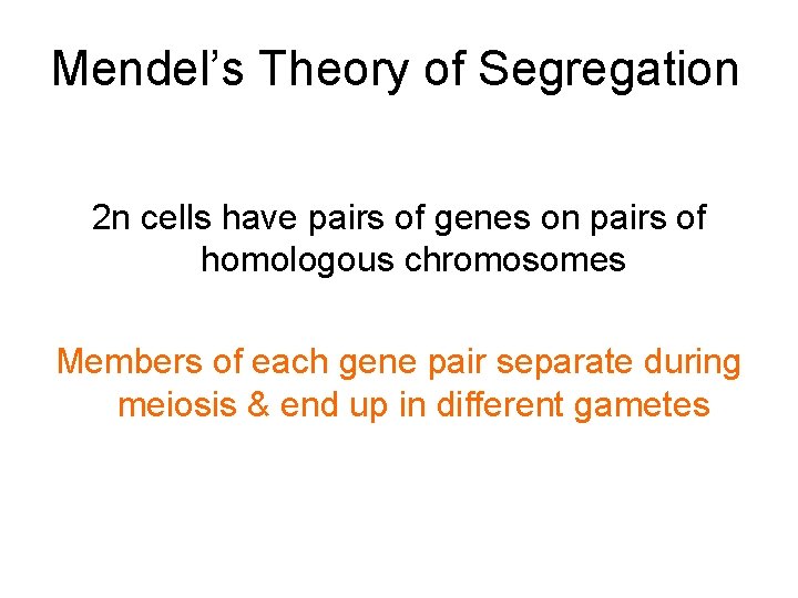 Mendel’s Theory of Segregation 2 n cells have pairs of genes on pairs of