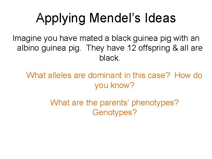 Applying Mendel’s Ideas Imagine you have mated a black guinea pig with an albino