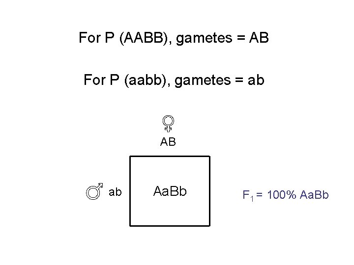 For P (AABB), gametes = AB For P (aabb), gametes = ab AB ab