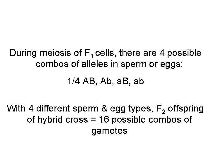 During meiosis of F 1 cells, there are 4 possible combos of alleles in