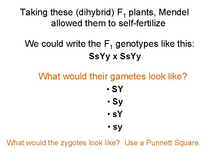 Taking these (dihybrid) F 1 plants, Mendel allowed them to self-fertilize We could write