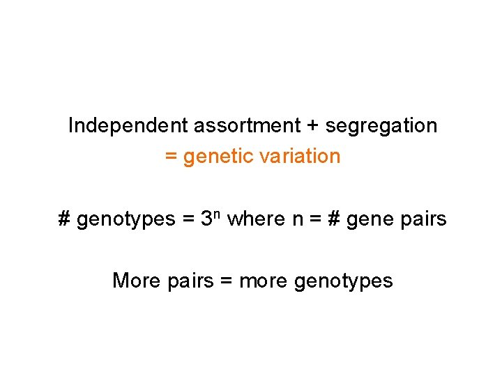 Independent assortment + segregation = genetic variation # genotypes = 3 n where n