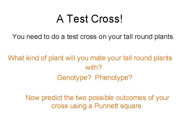 A Test Cross! You need to do a test cross on your tall round