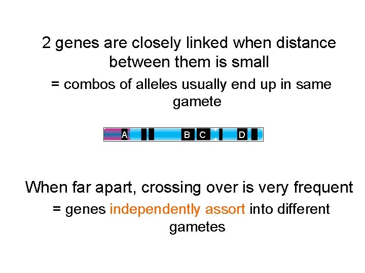 2 genes are closely linked when distance between them is small = combos of