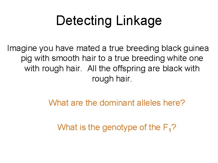 Detecting Linkage Imagine you have mated a true breeding black guinea pig with smooth