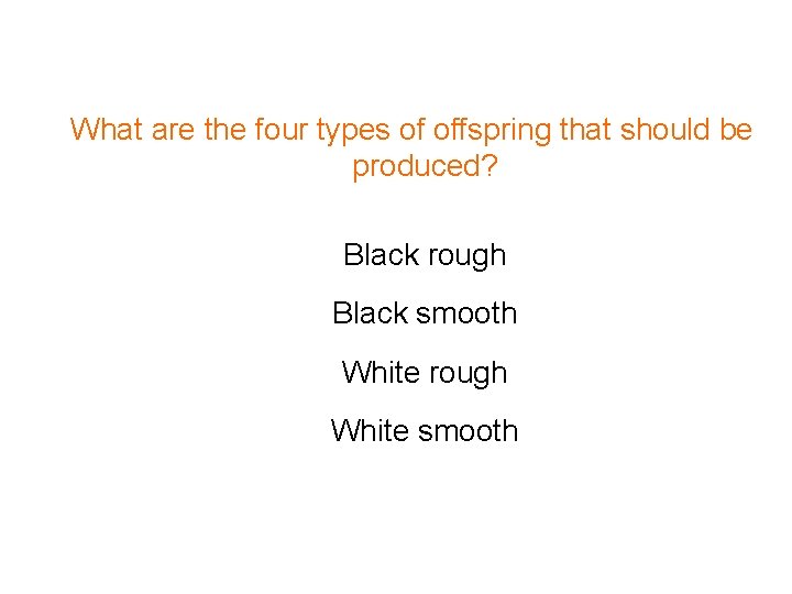 What are the four types of offspring that should be produced? Black rough Black