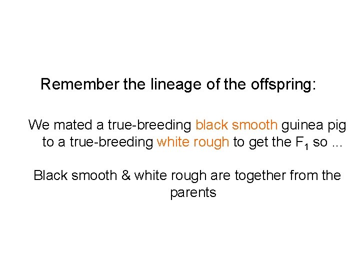 Remember the lineage of the offspring: We mated a true-breeding black smooth guinea pig