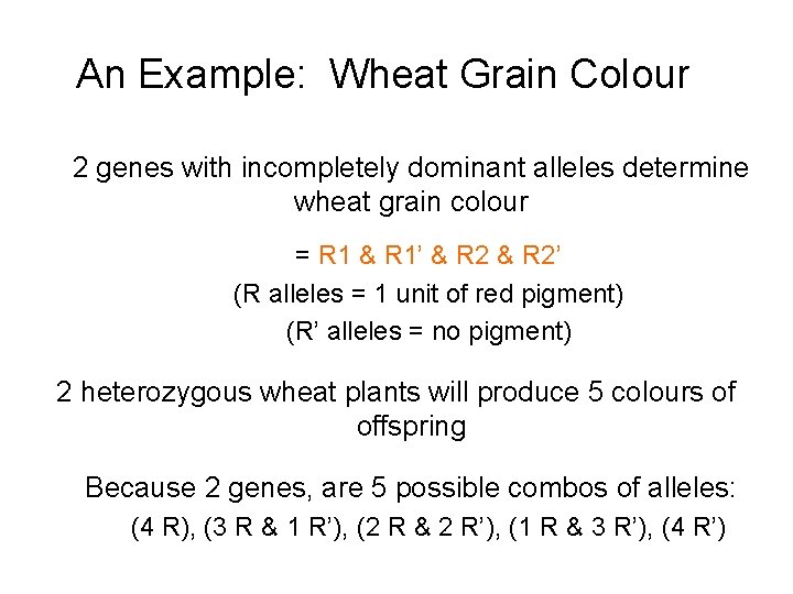 An Example: Wheat Grain Colour 2 genes with incompletely dominant alleles determine wheat grain