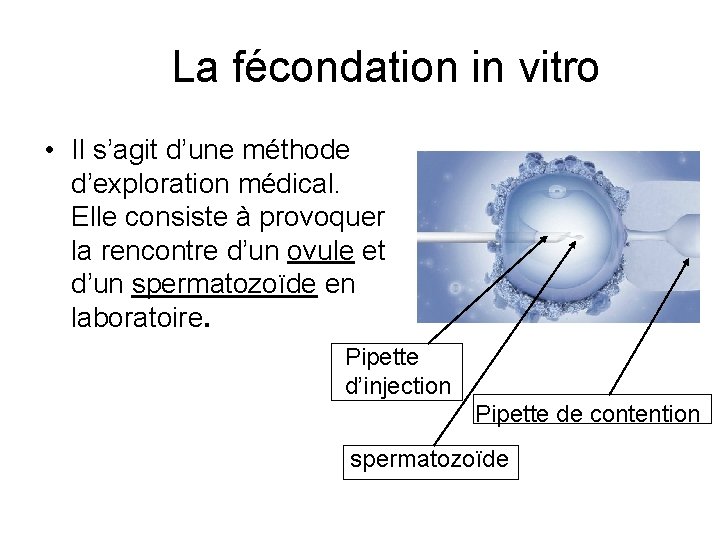La fécondation in vitro • Il s’agit d’une méthode d’exploration médical. Elle consiste à