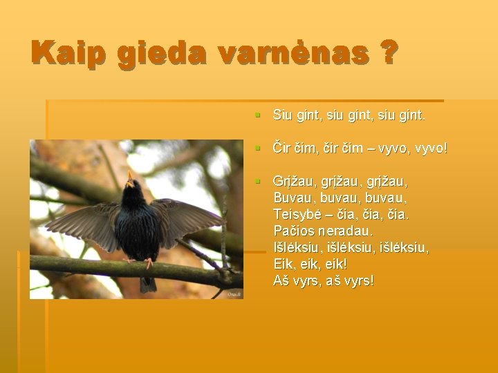 Kaip gieda varnėnas ? § Siu gint, siu gint. § Čir čim, čir čim