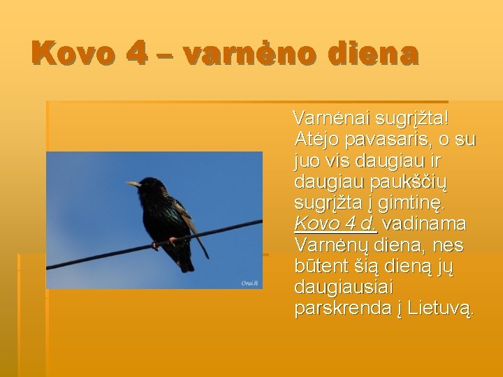 Kovo 4 – varnėno diena Varnėnai sugrįžta! Atėjo pavasaris, o su juo vis daugiau Kovo 4 – varnėno diena Varnėnai sugrįžta! Atėjo pavasaris, o su juo vis daugiau