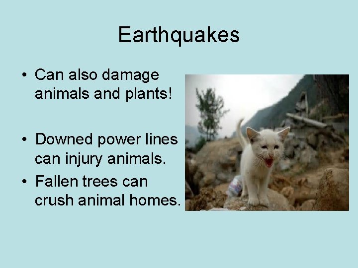 Earthquakes • Can also damage animals and plants! • Downed power lines can injury