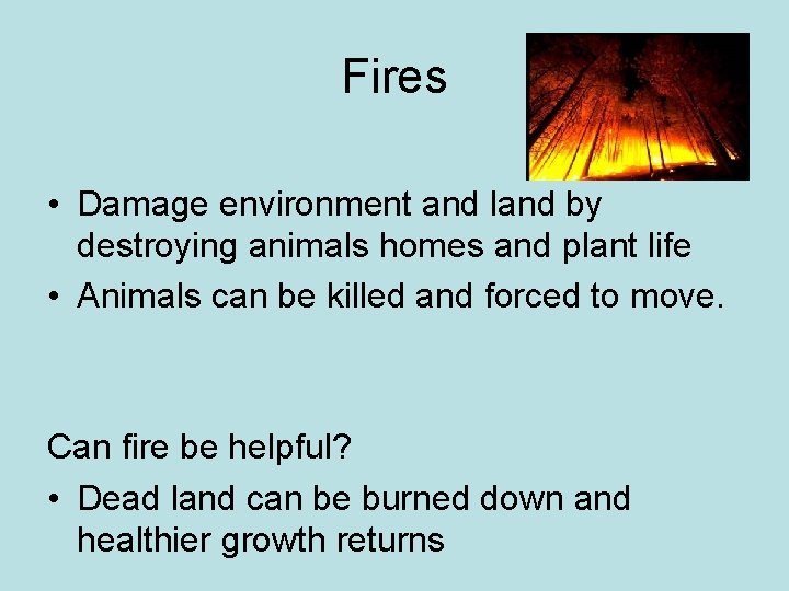 Fires • Damage environment and land by destroying animals homes and plant life •