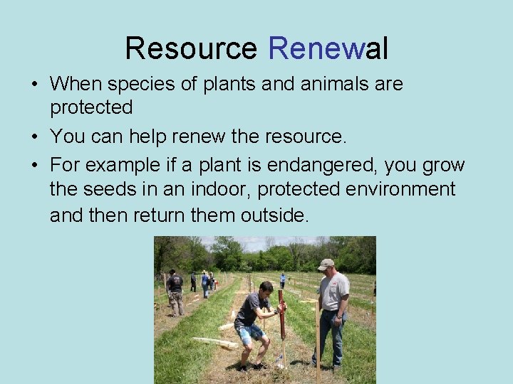 Resource Renewal • When species of plants and animals are protected • You can