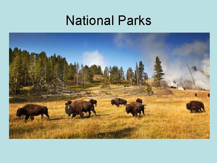 National Parks 