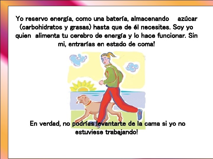 Yo reservo energía, como una batería, almacenando azúcar (carbohidratos y grasas) hasta que de Yo reservo energía, como una batería, almacenando azúcar (carbohidratos y grasas) hasta que de
