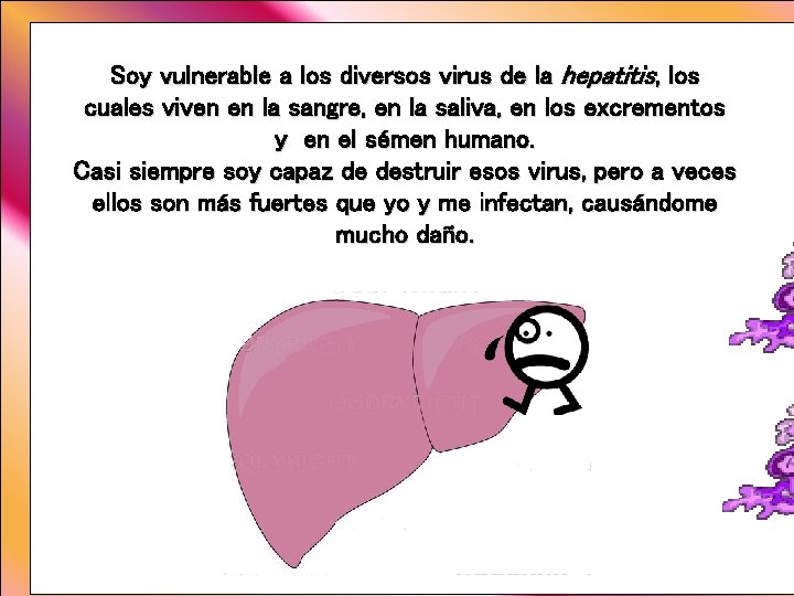 Soy vulnerable a los diversos virus de la hepatitis, los cuales viven en la Soy vulnerable a los diversos virus de la hepatitis, los cuales viven en la