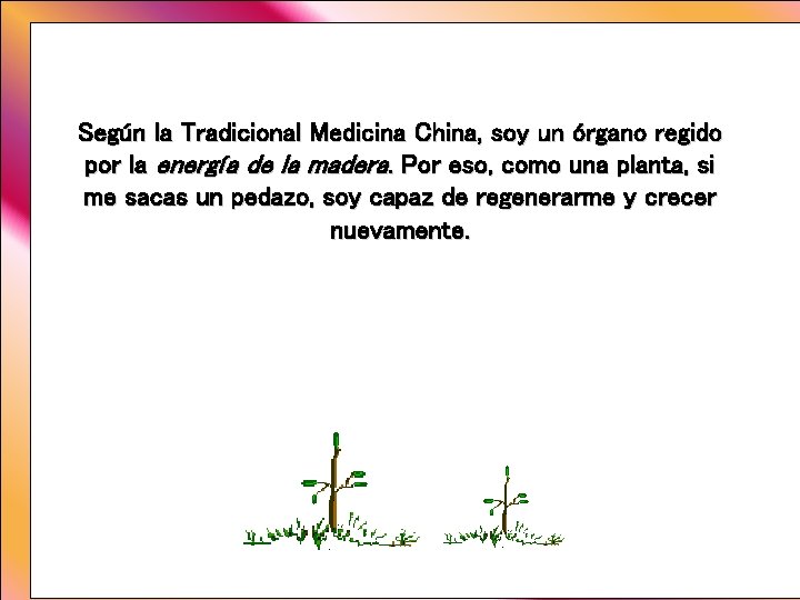 Según la Tradicional Medicina China, soy un órgano regido por la energía de la Según la Tradicional Medicina China, soy un órgano regido por la energía de la