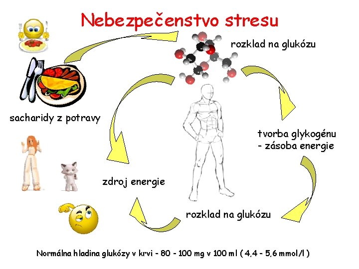 Nebezpečenstvo stresu rozklad na glukózu sacharidy z potravy tvorba glykogénu - zásoba energie zdroj