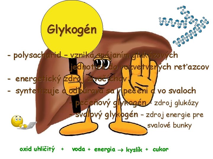 Glykogén - polysacharid – vzniká spájaním glukózových jednotiek do rozvetvených reťazcov - energetický zdroj