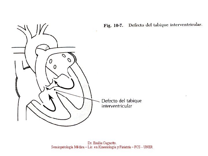 Dr. Emilia Cagnotto. Semiopatología Médica – Lic. en Kinesiología y Fisiatría – FCS -