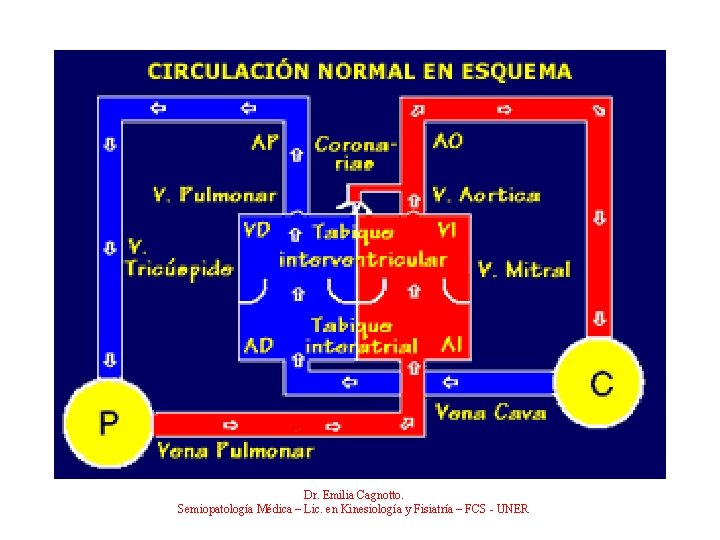 Dr. Emilia Cagnotto. Semiopatología Médica – Lic. en Kinesiología y Fisiatría – FCS -