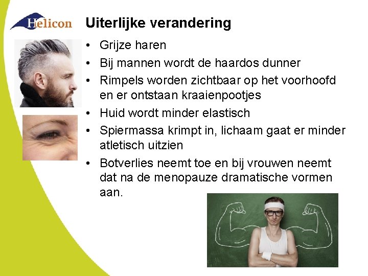 Uiterlijke verandering • Grijze haren • Bij mannen wordt de haardos dunner • Rimpels