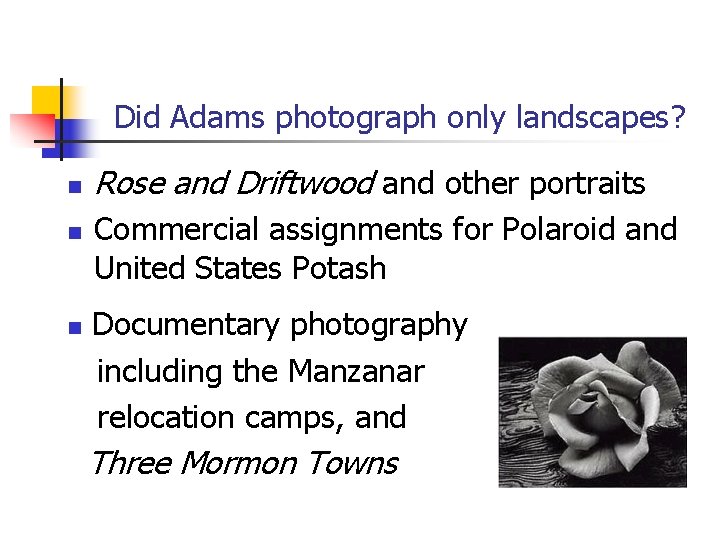 Did Adams photograph only landscapes? n n n Rose and Driftwood and other portraits