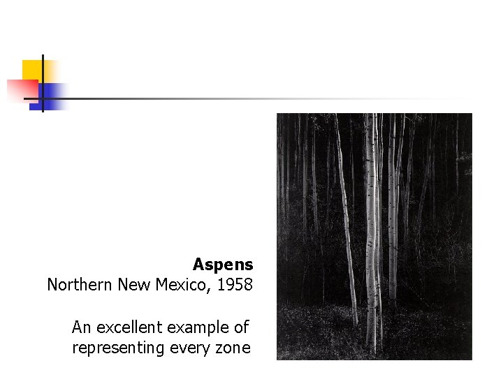 Aspens Northern New Mexico, 1958 An excellent example of representing every zone 