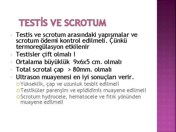 TESTİS VE SCROTUM Testis ve scrotum arasındaki yapışmalar ve scrotum ödemi kontrol edilmeli. Çünkü