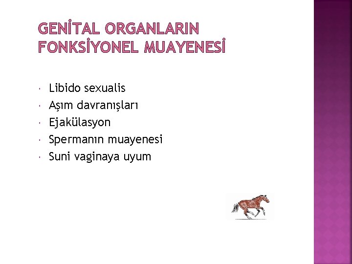 GENİTAL ORGANLARIN FONKSİYONEL MUAYENESİ Libido sexualis Aşım davranışları Ejakülasyon Spermanın muayenesi Suni vaginaya uyum