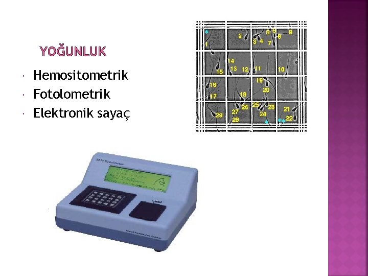 YOĞUNLUK Hemositometrik Fotolometrik Elektronik sayaç 