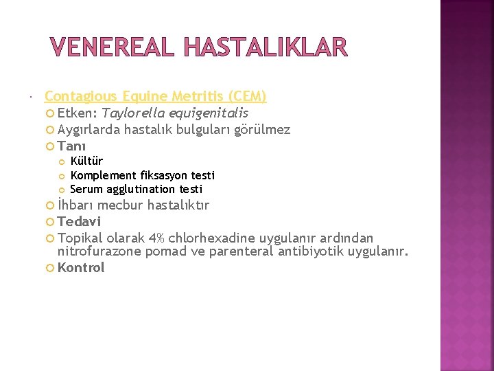 VENEREAL HASTALIKLAR Contagious Equine Metritis (CEM) Etken: Taylorella equigenitalis Aygırlarda hastalık bulguları görülmez Tanı