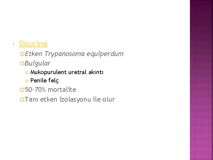  Dourine Etken Trypanosoma equiperdum Bulgular Mukopurulent uretral akıntı Penile felç 50 -70% mortalite