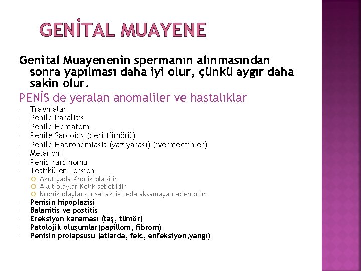 GENİTAL MUAYENE Genital Muayenenin spermanın alınmasından sonra yapılması daha iyi olur, çünkü aygır daha