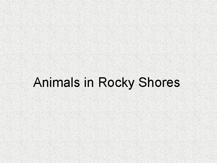 Animals in Rocky Shores 