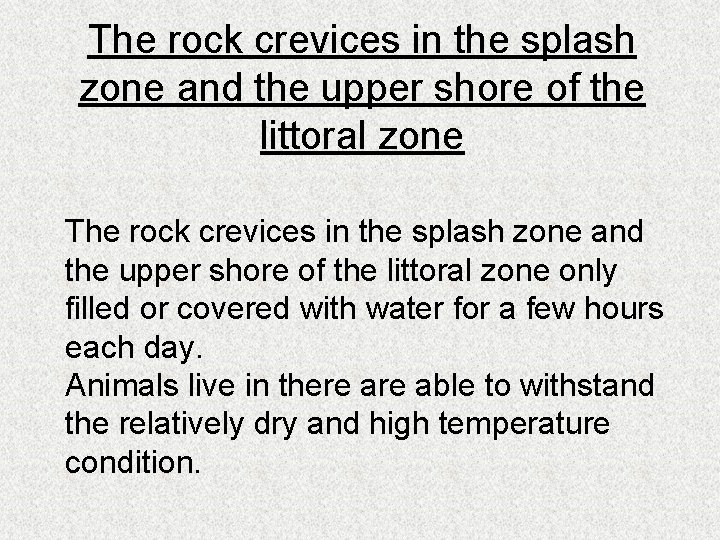 The rock crevices in the splash zone and the upper shore of the littoral