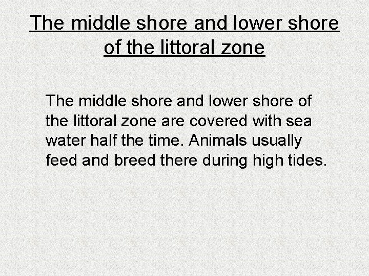 The middle shore and lower shore of the littoral zone are covered with sea